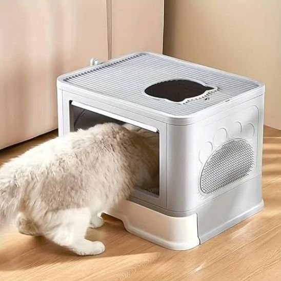 bac-litière-chat-solution-de-propreté