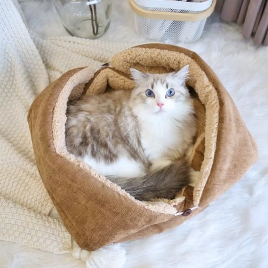 coussin-a-chat-chocolat