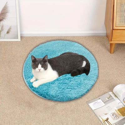 coussin-chat-tapis-bleu