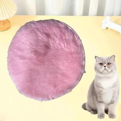 coussin-chat-tapis-rose