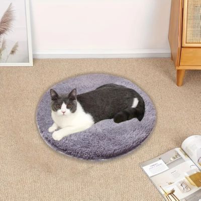 coussin-chat-tapis