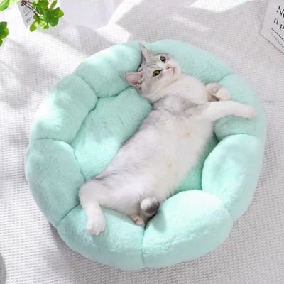 coussin-pour-chat-calinou-vert