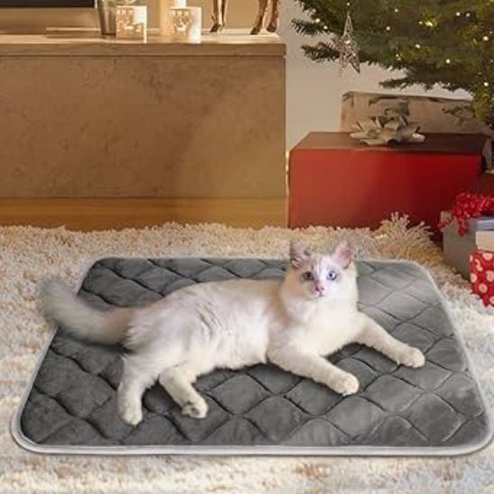 coussin-pour-chat-chauffant-hiver
