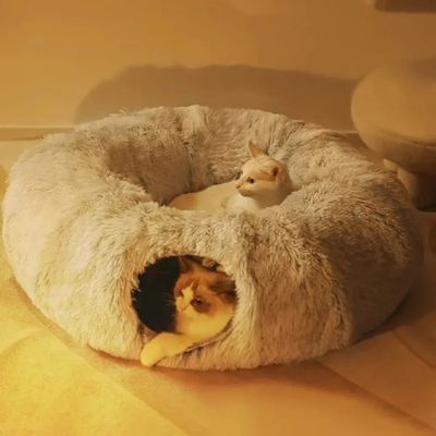 coussin-pour-chat-intuitif