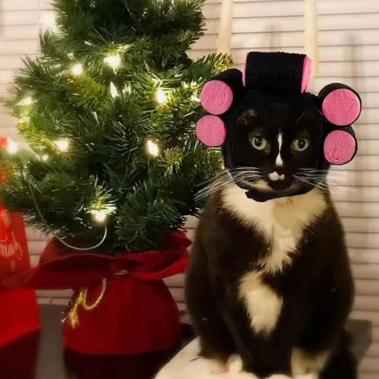 déguisement-pour-chat-bigoudi-rigolo