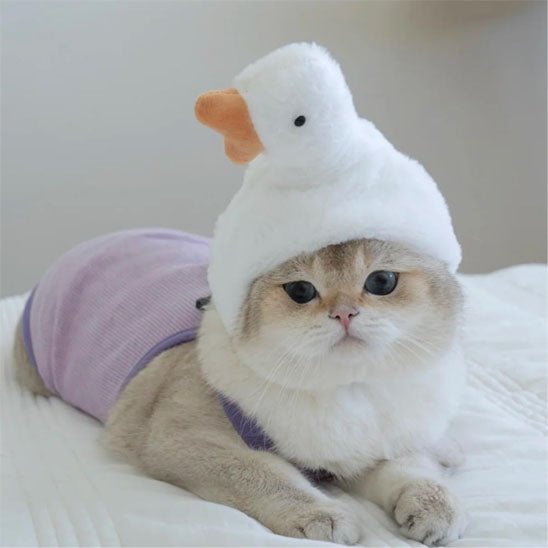 déguisement-pour-chat-canard-blanc-1