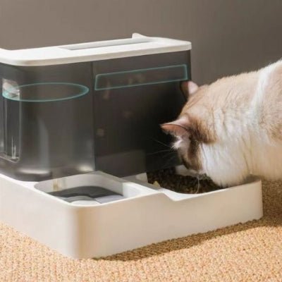 distributeur-de-croquettes-pour-chat-fonctionnel-discroquettes