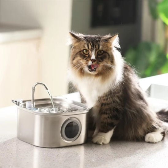 fontaine-a-eau-chat-automatique-hydrocat