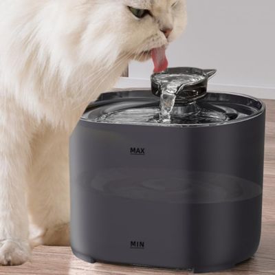 fontaine-a-eau-pour-chat-utile-aquamew