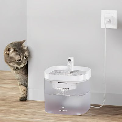 fontaine-a-eau-pour-chat-utile