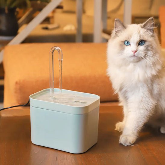 fontaine-eau-pour-chat-moderne-aquazen