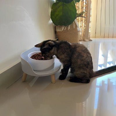 gamelle-chat-surélevée-grise-chatforme
