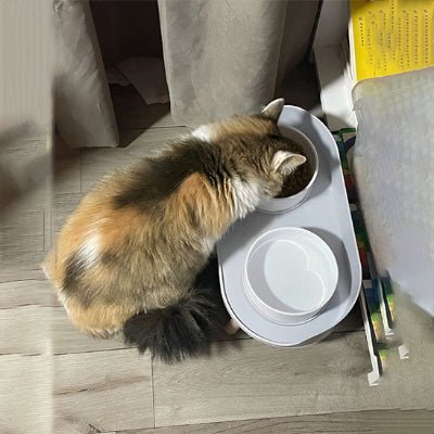 gamelle-chat-surélevée-double-bol-chatforme