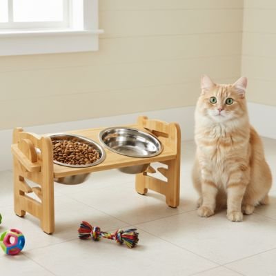 gamelle-chat-surélevée-confortable-moderne