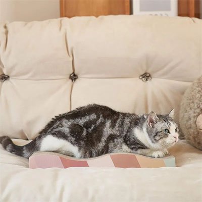 Griffoir-en-carton-pour-chat-ergonomique-durable