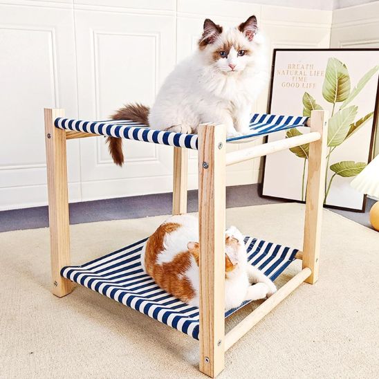 hamac-chat-bleu