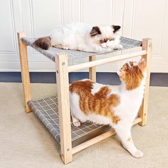 hamac-chat-gris
