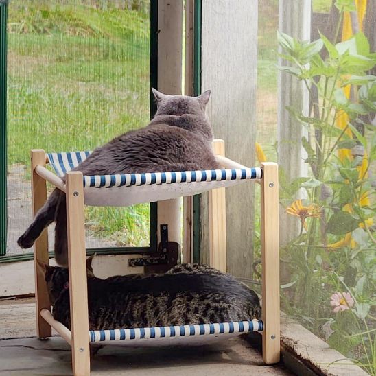 hamac-chat-large