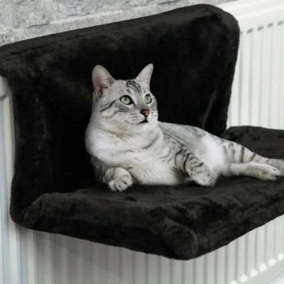 hamac-chat-pour-radiateur-noir-radia