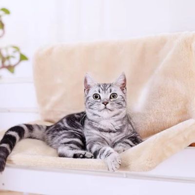 hamac-chat-pour-radiateur-touffe-doux