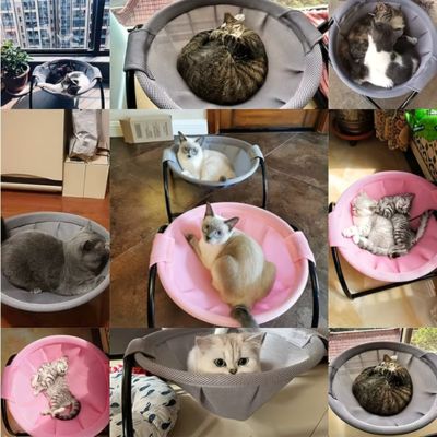 hamac-pour-chat-fonctionnel