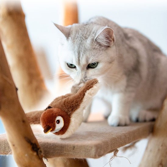 Jouet Chat interactif oiseau avec des ailes