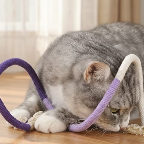 Jouet pour chat-tresse