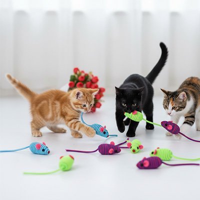 Jouet pour chat-souris-naturelle