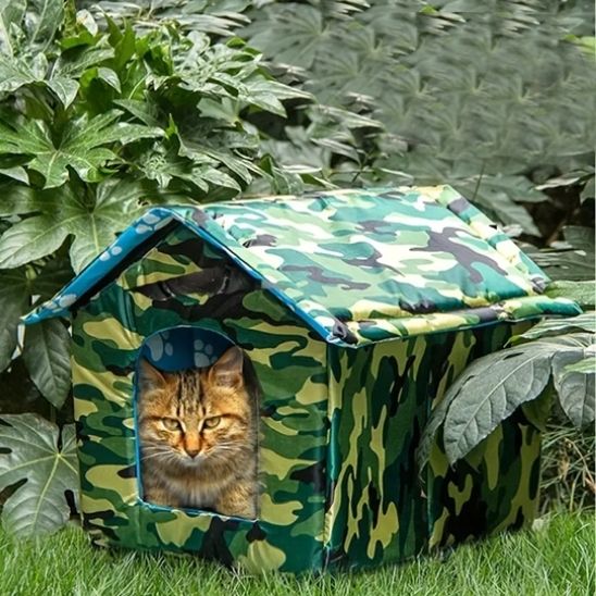 niche-chat-exterieur-accueillante