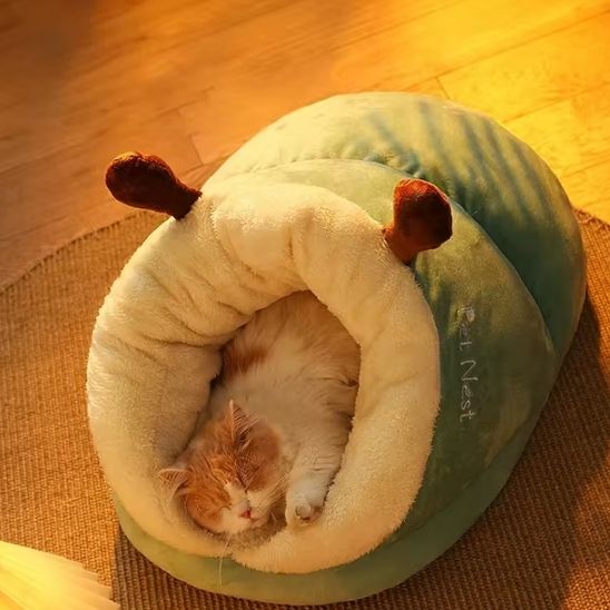 niche-chat-pantoufle-cocooning