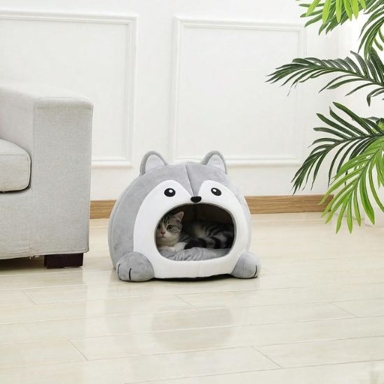 niche-chat-souris
