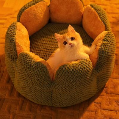 panier-chat-corolle-moelleux