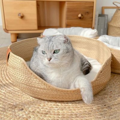 panier-pour-chat-rotin