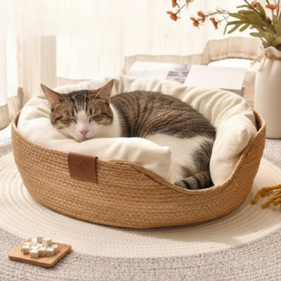 panier-pour-chat-vannerie