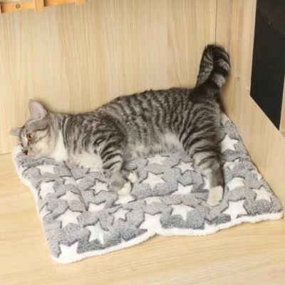 tapis-chat-gris-etoiles