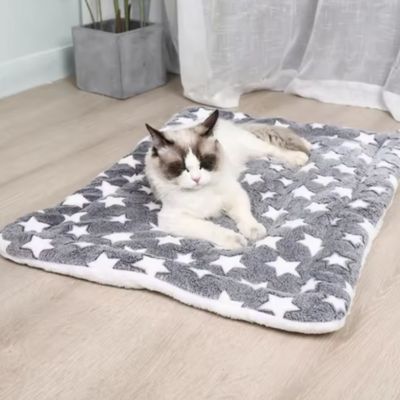 tapis-chat-gris-moelleux