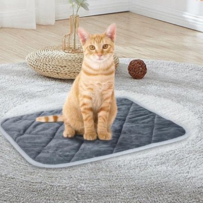 tapis-chat-koumi-chauffant