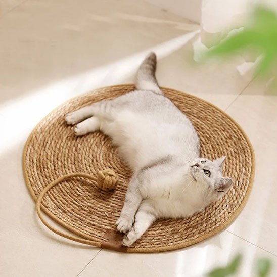 tapis-griffoir-chat-en-sisal-naturel-design-naturel