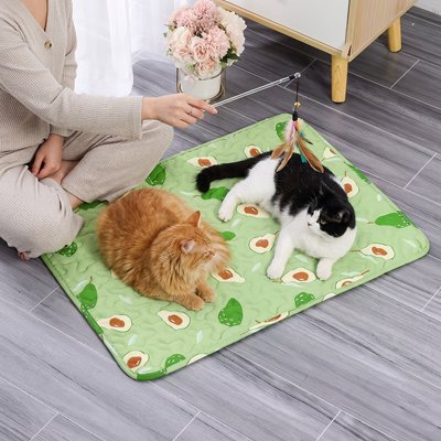 tapis-rafraichissant-chat-avocat-ergonomique