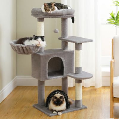 Comment choisir son arbre a chat