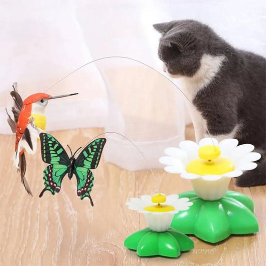 Jouets pour Chat : Balle, Laser, Canne à Pêche ou Tunnel ?