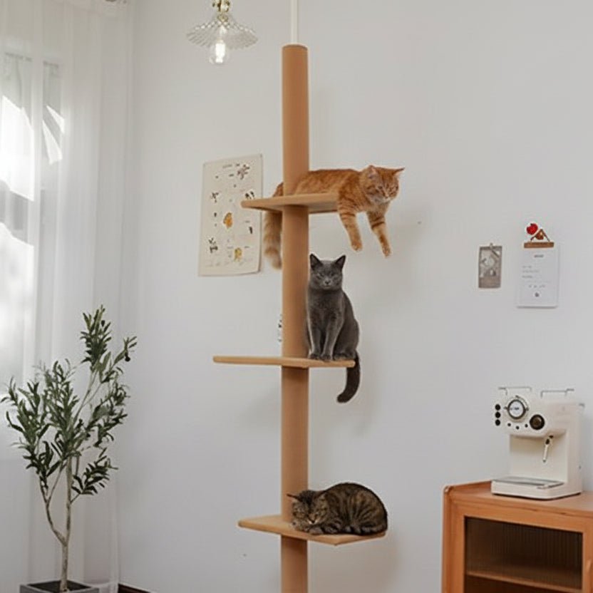 Arbre à chat design épuré 