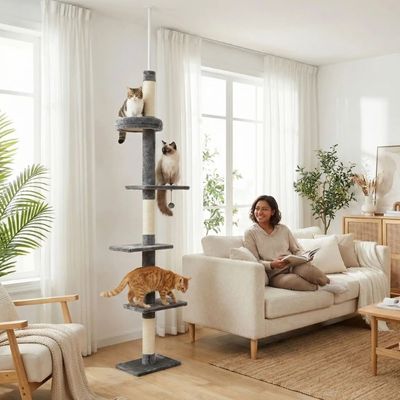 Arbre à chat | Design Robuste - Patte à Chat