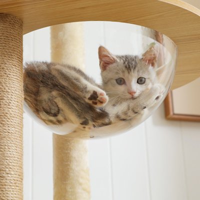 arbre-a-chat-en-bois-doubles-avec-hamac