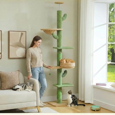 Arbre à chat | Féli - Confort - Patte à Chat