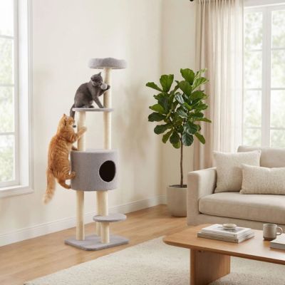arbre-a-chat-grise-avec-griffoir