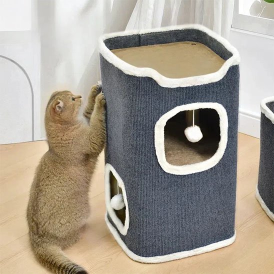 Arbre à Chat - confortable