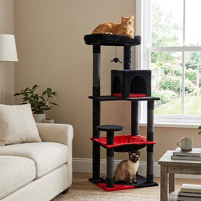arbre-à-chat-noir-rouge-confortable
