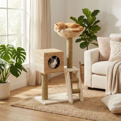 arbre-à-chat-petite-taille-design
