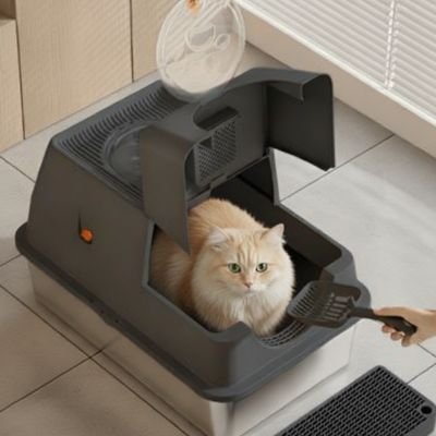 bac-à-litière-chat-anti-odeurs-hygiénique